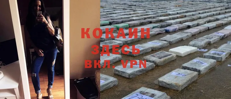 Кокаин FishScale  где купить наркотик  Верхняя Тура 